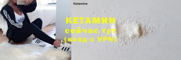 гашик Богданович