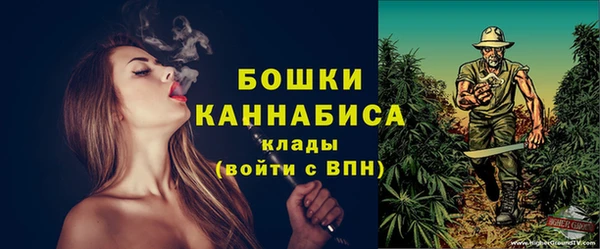 гашик Богданович