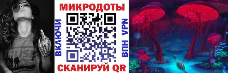 мориарти клад  OMG вход  Галлюциногенные грибы Magic Shrooms  Новосибирск  что такое  